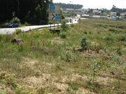 Terreno Rstico - Anta, Espinho, Aveiro - Miniatura: 4/4