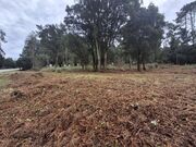 Terreno R�stico - Anta, Espinho, Aveiro - Miniatura: 1/4