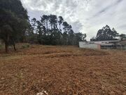 Terreno R�stico - Anta, Espinho, Aveiro - Miniatura: 2/4