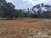 Terreno R�stico - Anta, Espinho, Aveiro - Miniatura: 3/4