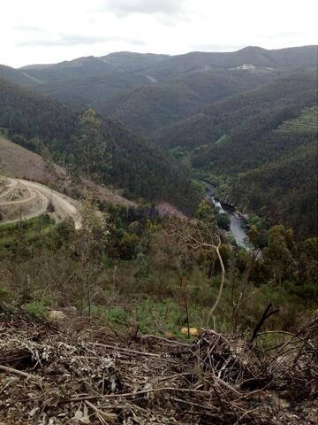 Terreno Rstico T0 - Canelas, Arouca, Aveiro - Imagem grande