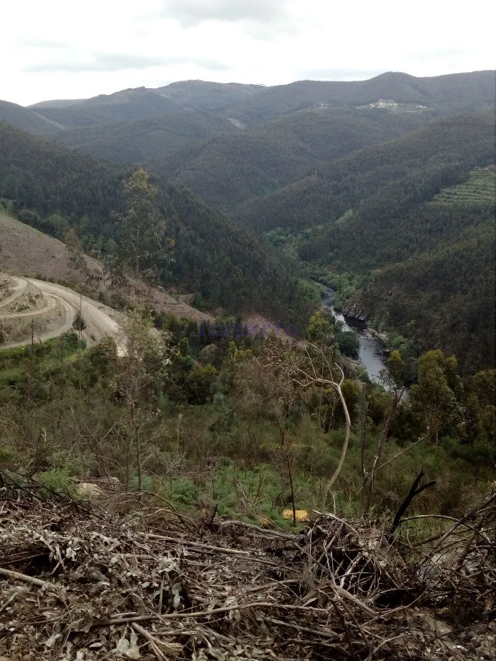 Terreno Rústico T0 - Canelas, Arouca, Aveiro - Imagem grande