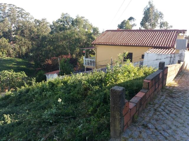 Terreno Rstico T0 - Vila de Cucujes, Oliveira de Azemis, Aveiro - Imagem grande