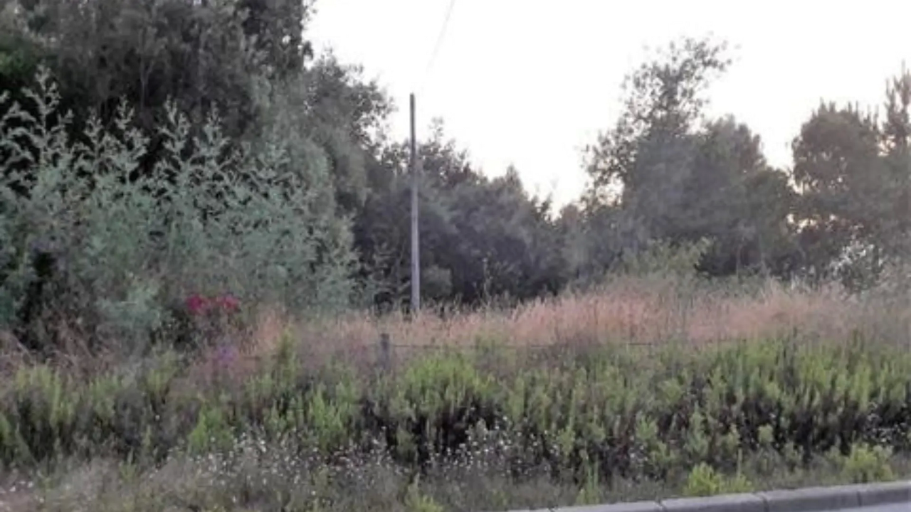 Terreno R�stico - Oliveira de Azemeis, Oliveira de Azem�is, Aveiro - Imagem grande
