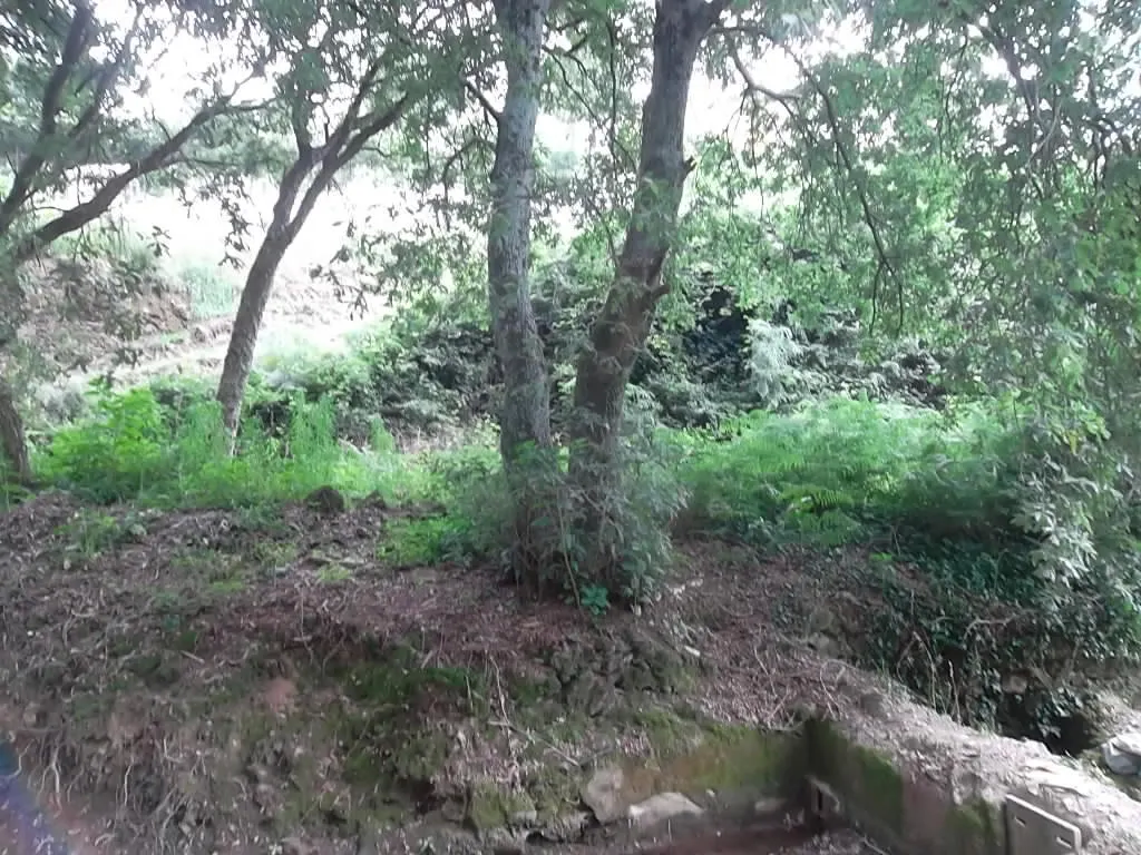 Terreno R�stico - Vila de Cucuj�es, Oliveira de Azem�is, Aveiro