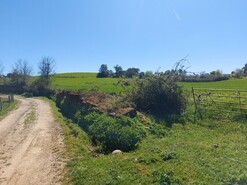 Terreno Rstico - Castro Vicente, Mogadouro, Bragana