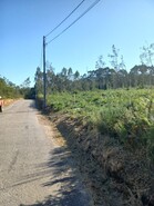 Terreno Rstico - Escariz, Arouca, Aveiro