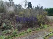Terreno Rstico T0 - Vila de Cucujes, Oliveira de Azemis, Aveiro - Miniatura: 5/8