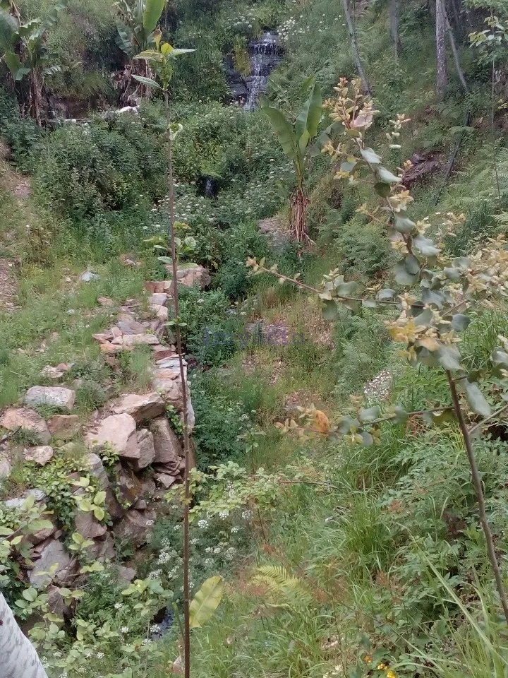 Terreno Rstico T0 - Canelas, Arouca, Aveiro - Miniatura: 5/9