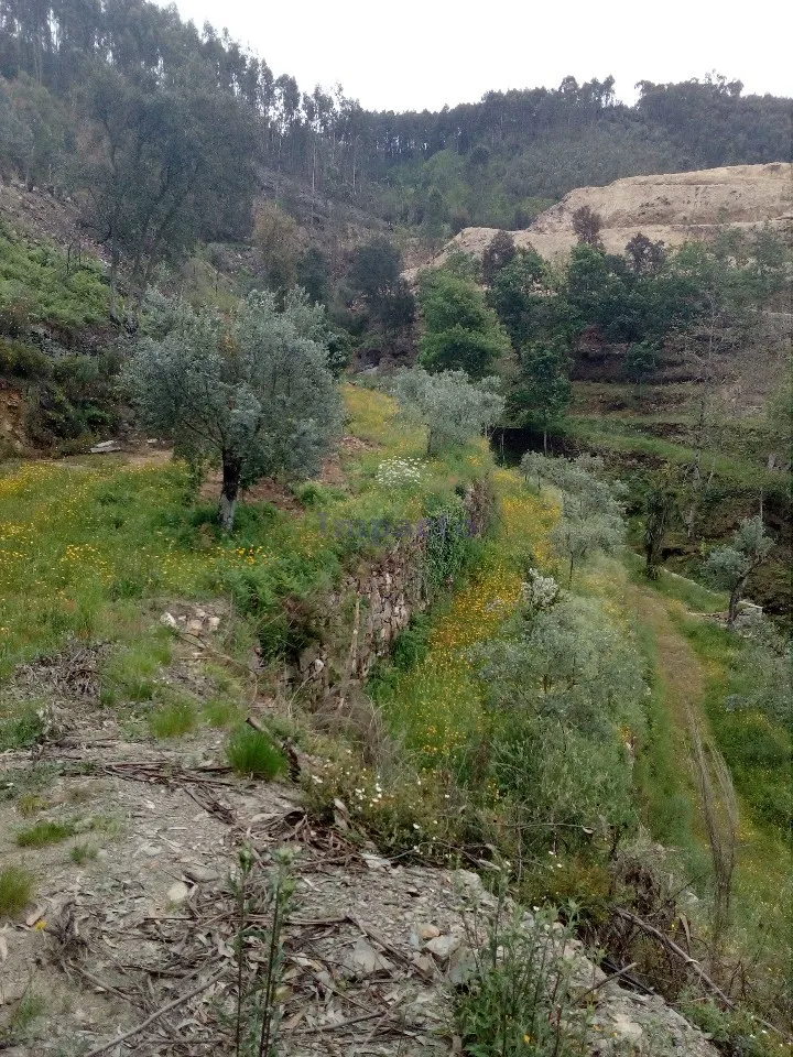 Terreno Rstico T0 - Canelas, Arouca, Aveiro - Miniatura: 7/9