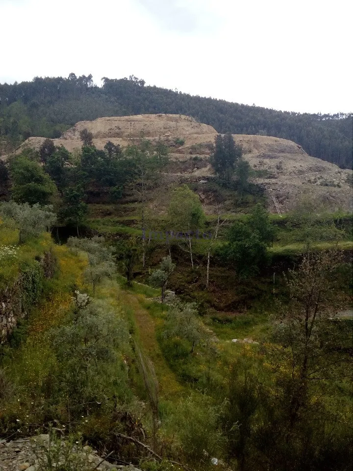 Terreno Rstico T0 - Canelas, Arouca, Aveiro - Miniatura: 8/9