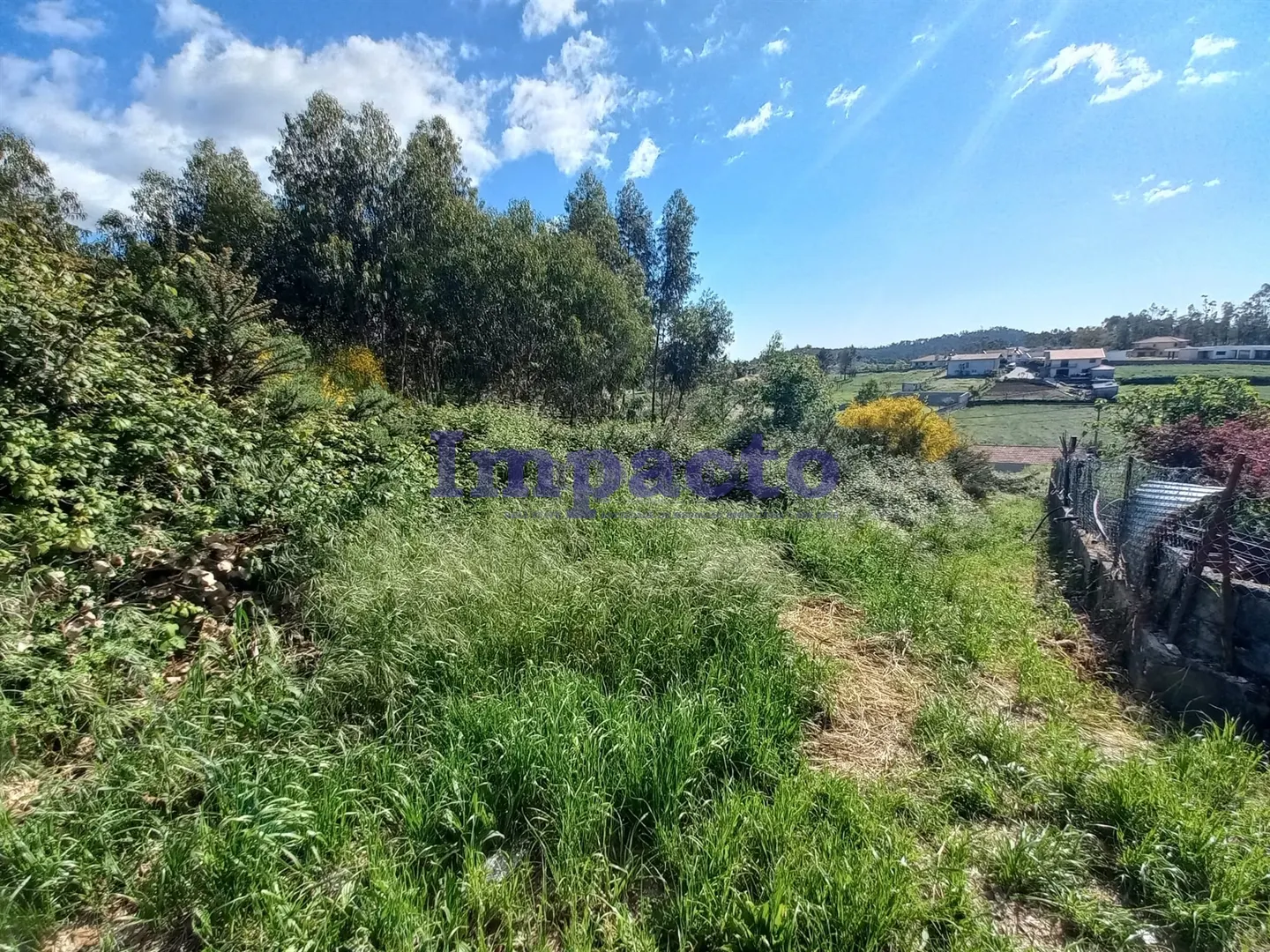 Terreno Rstico T0 - Escariz, Arouca, Aveiro - Miniatura: 1/9