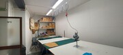 Loja - Aves, Santo Tirso, Porto - Miniatura: 9/9