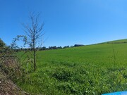 Terreno Rstico - Castro Vicente, Mogadouro, Bragana - Miniatura: 1/9