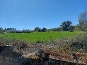 Terreno Rstico - Castro Vicente, Mogadouro, Bragana - Miniatura: 2/9