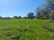 Terreno Rstico - Castro Vicente, Mogadouro, Bragana - Miniatura: 3/9