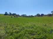 Terreno Rstico - Castro Vicente, Mogadouro, Bragana - Miniatura: 5/9
