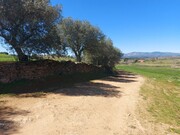 Terreno Rstico - Castro Vicente, Mogadouro, Bragana - Miniatura: 6/9