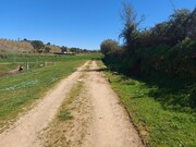 Terreno Rstico - Castro Vicente, Mogadouro, Bragana - Miniatura: 7/9