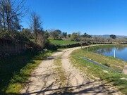 Terreno Rstico - Castro Vicente, Mogadouro, Bragana - Miniatura: 8/9