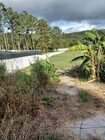 Terreno Rstico - Fajes, Oliveira de Azemis, Aveiro - Miniatura: 1/2
