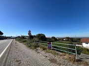 Terreno Rstico - Pinheiro da Bemposta, Oliveira de Azemis, Aveiro - Miniatura: 3/9