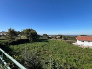 Terreno Rstico - Pinheiro da Bemposta, Oliveira de Azemis, Aveiro - Miniatura: 6/9