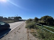 Terreno Rstico - Pinheiro da Bemposta, Oliveira de Azemis, Aveiro - Miniatura: 8/9