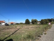 Terreno Rstico - Pinheiro da Bemposta, Oliveira de Azemis, Aveiro - Miniatura: 9/9