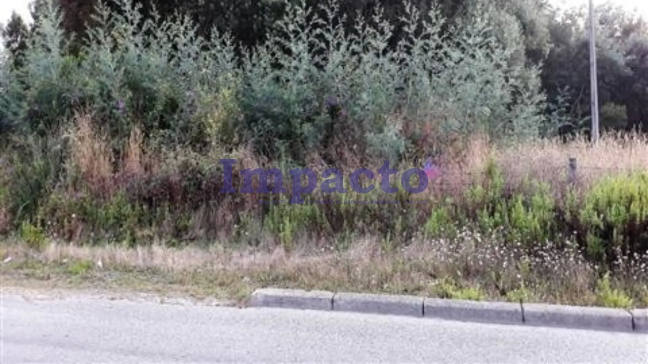 Terreno R�stico - Oliveira de Azemeis, Oliveira de Azem�is, Aveiro - Imagem grande