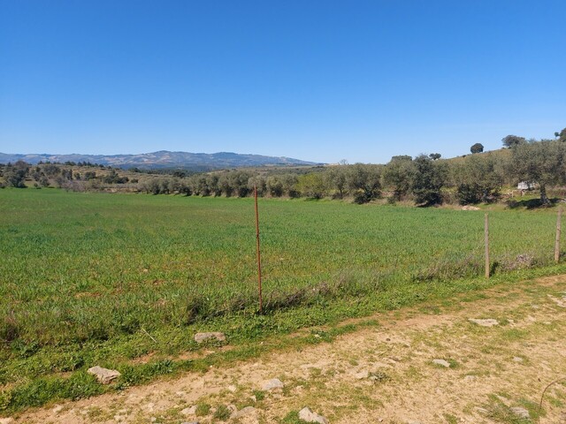 Terreno Rústico - Castro Vicente, Mogadouro, Bragança - Imagem grande