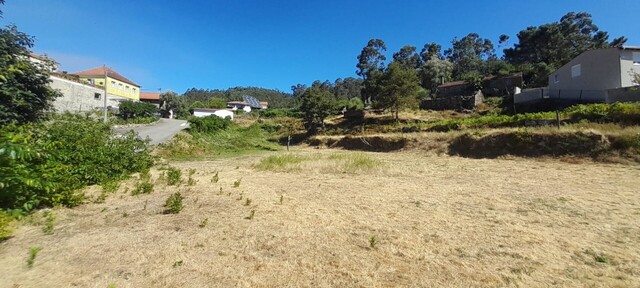 Terreno Rstico - Couto de Esteves, Sever do Vouga, Aveiro - Imagem grande