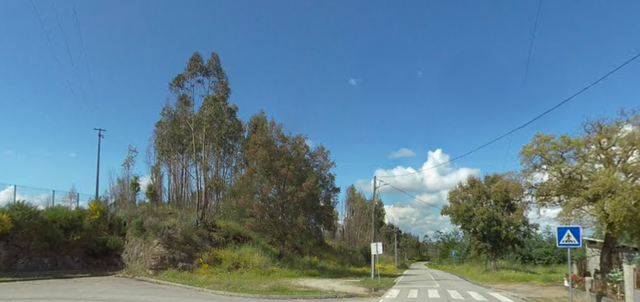 Terreno Rstico - Oliveira do Conde, Carregal do Sal, Viseu - Imagem grande