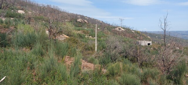 Moradia T1 - Gon�alo, Guarda, Guarda - Imagem grande