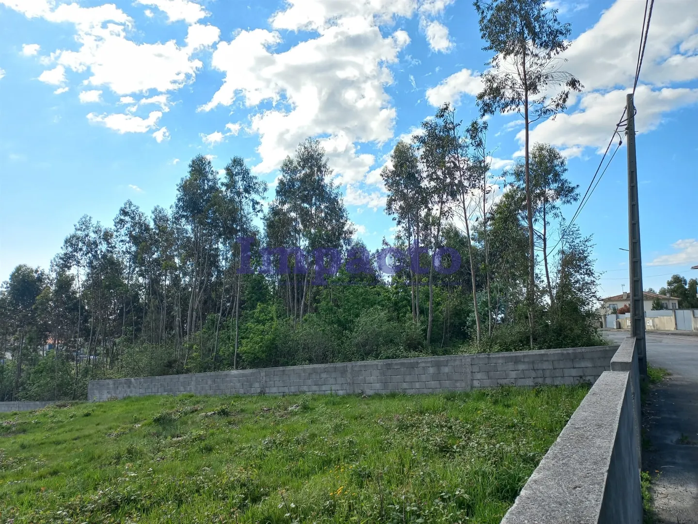 Terreno Rústico T0 - Escariz, Arouca, Aveiro