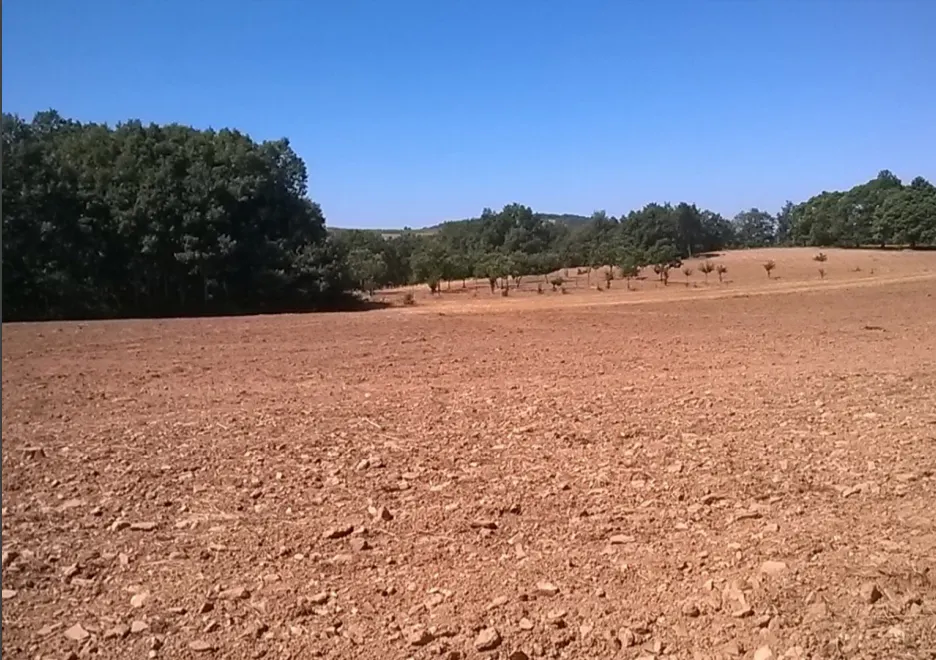 Terreno Rstico - Vilar de Ossos, Vinhais, Bragana