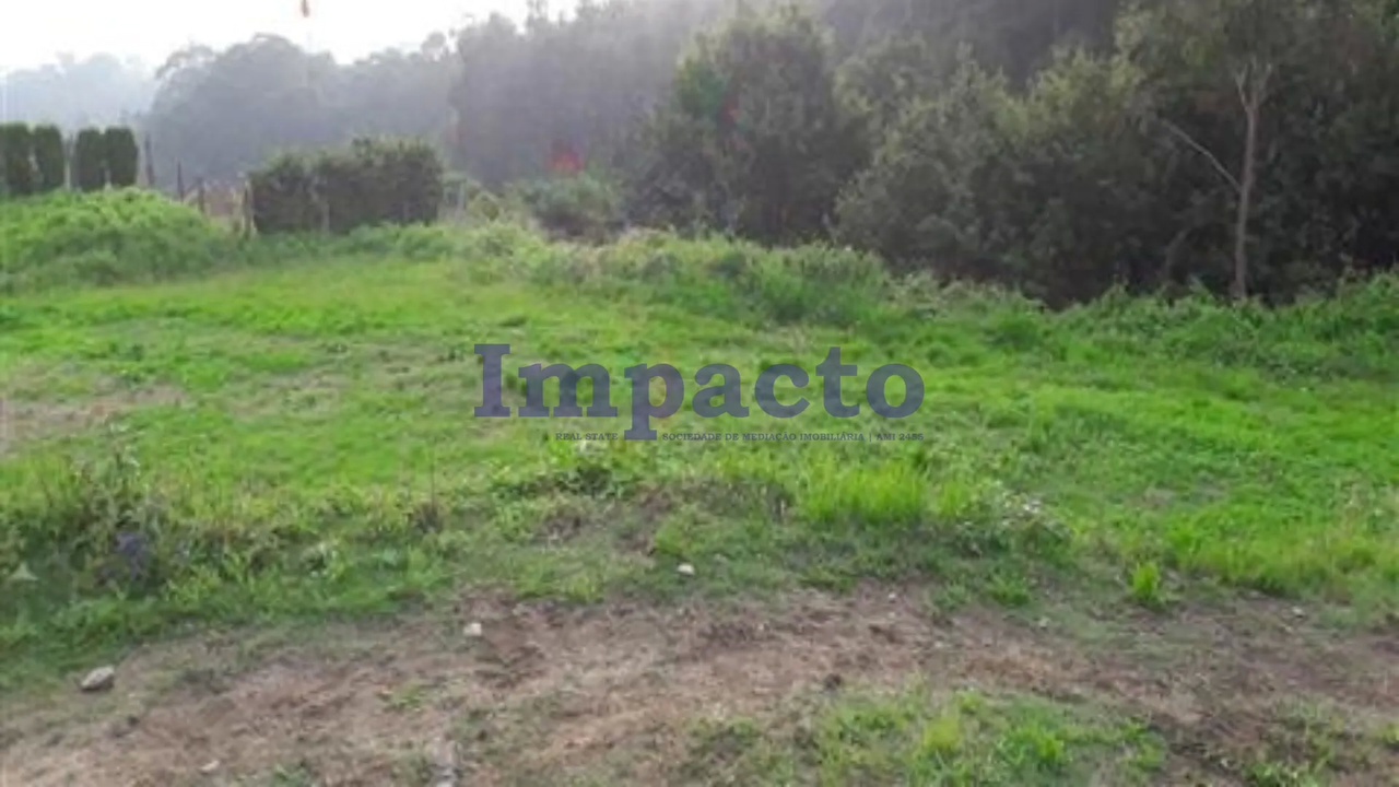 Terreno R�stico - Vila de Cucuj�es, Oliveira de Azem�is, Aveiro