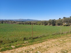 Terreno Rstico - Castro Vicente, Mogadouro, Bragana