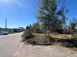 Terreno Rstico - Pinheiro da Bemposta, Oliveira de Azemis, Aveiro