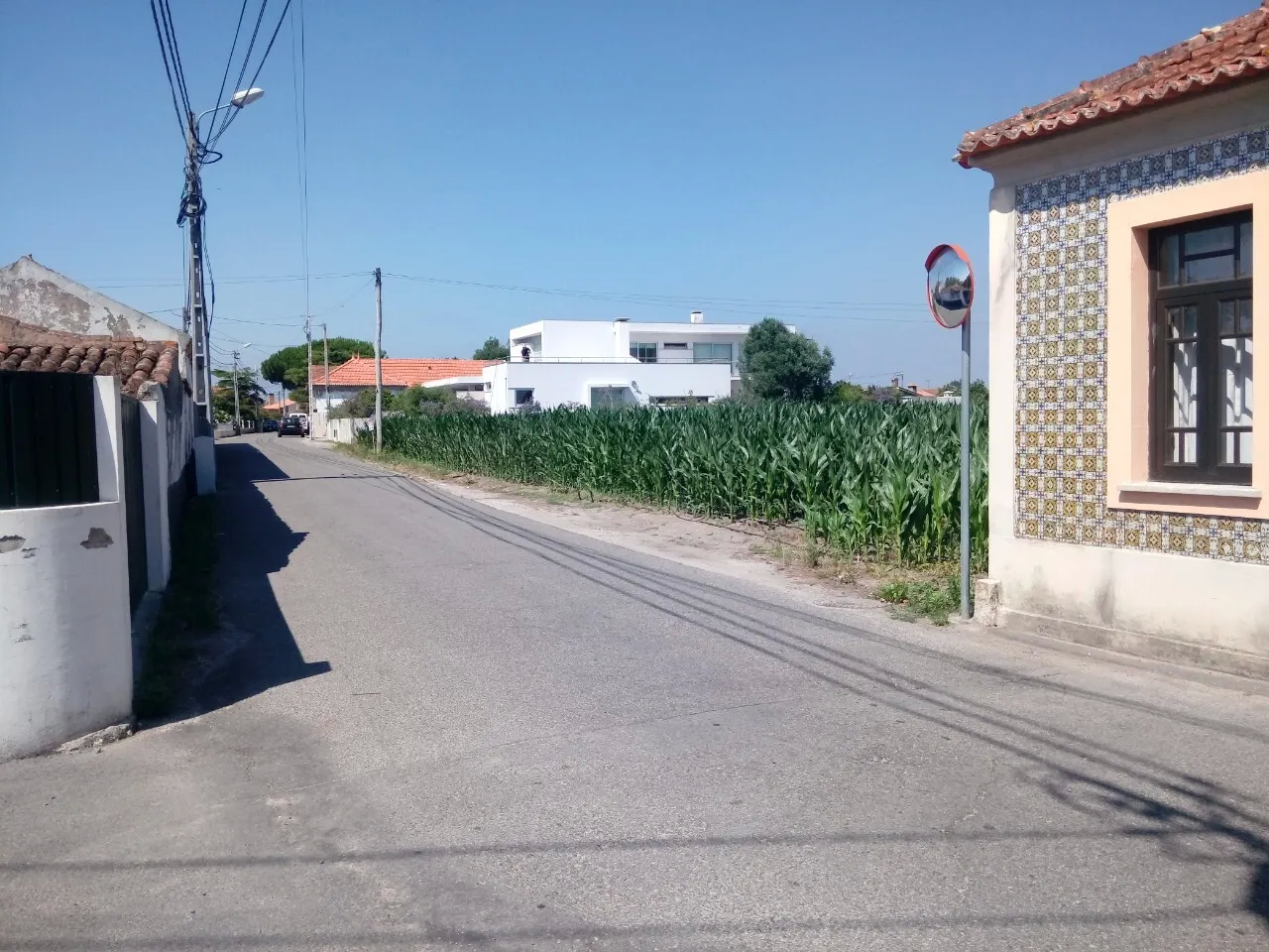 Terreno R�stico - Pardilh�, Estarreja, Aveiro - Miniatura: 5/6