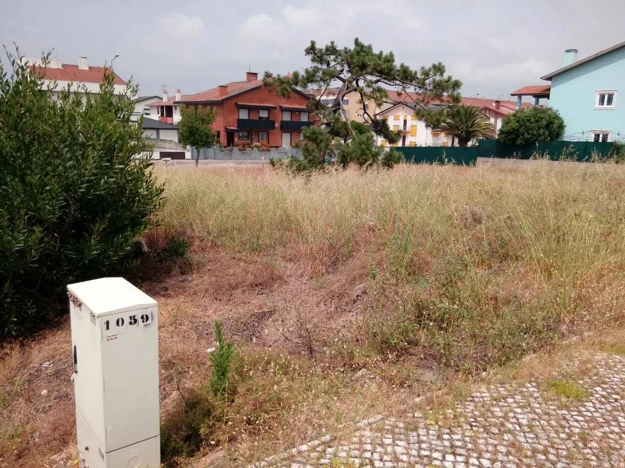Terreno R�stico - Torreira, Murtosa, Aveiro - Miniatura: 3/4