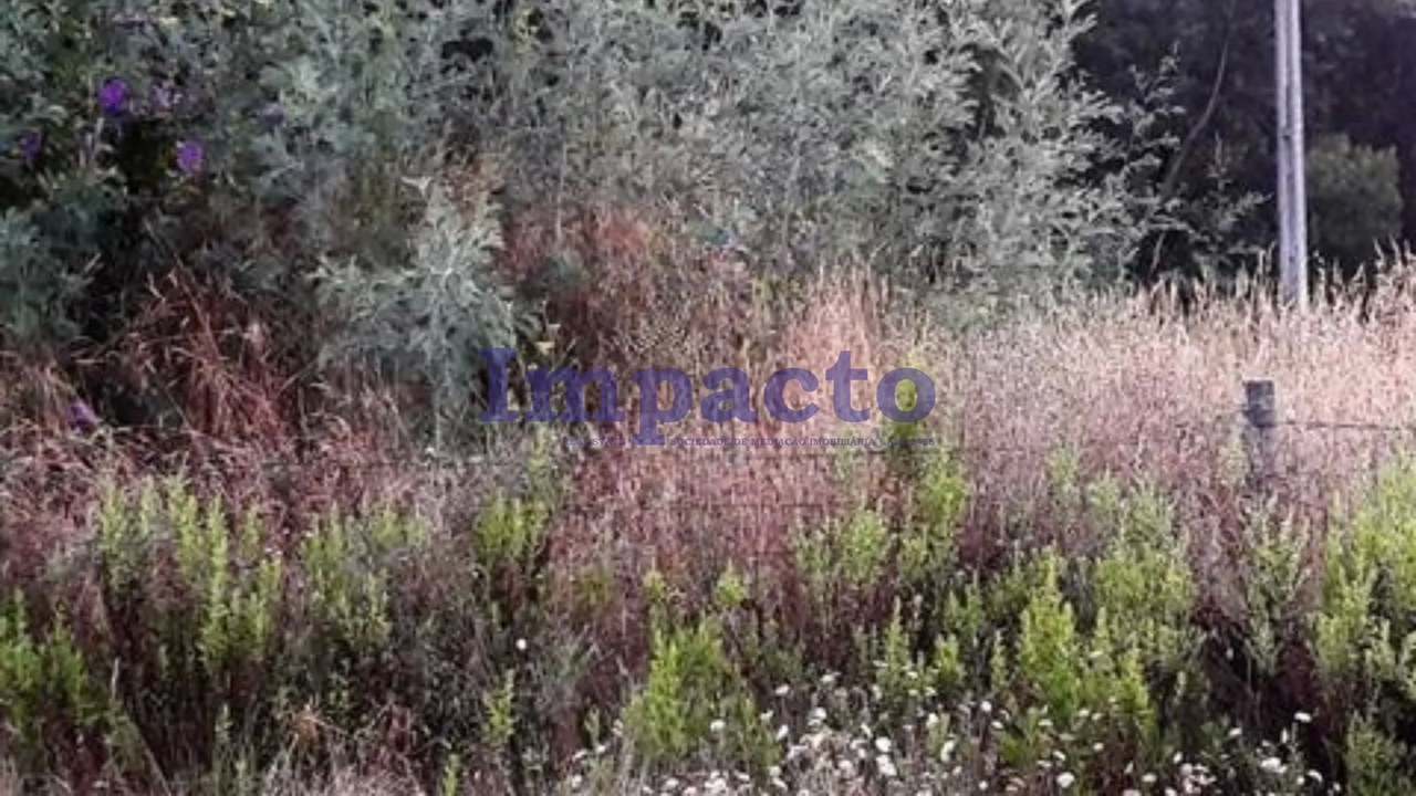 Terreno R�stico - Oliveira de Azemeis, Oliveira de Azem�is, Aveiro - Miniatura: 2/2