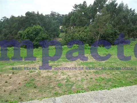 Terreno R�stico - Vila de Cucuj�es, Oliveira de Azem�is, Aveiro - Miniatura: 1/2