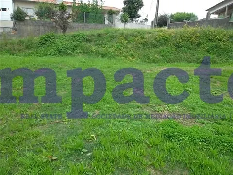 Terreno R�stico - Vila de Cucuj�es, Oliveira de Azem�is, Aveiro - Miniatura: 2/2
