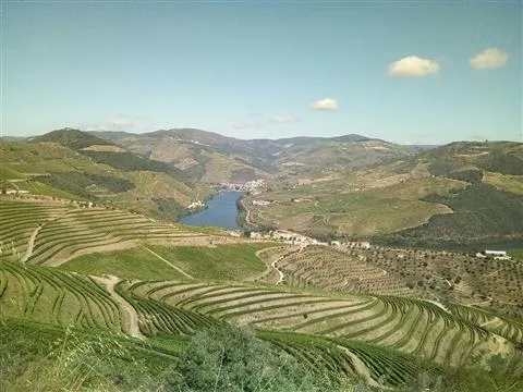 Moradia T3 - Soutelo do Douro, So Joo da Pesqueira, Viseu - Miniatura: 2/7