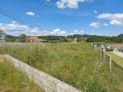 Terreno Rstico - Campo de Besteiros, Tondela, Viseu - Miniatura: 7/9