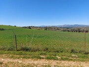 Terreno Rstico - Castro Vicente, Mogadouro, Bragana - Miniatura: 1/9