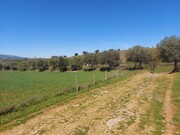 Terreno Rstico - Castro Vicente, Mogadouro, Bragana - Miniatura: 2/9