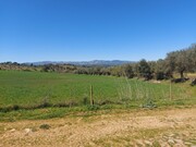 Terreno Rstico - Castro Vicente, Mogadouro, Bragana - Miniatura: 3/9