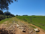 Terreno Rstico - Castro Vicente, Mogadouro, Bragana - Miniatura: 4/9